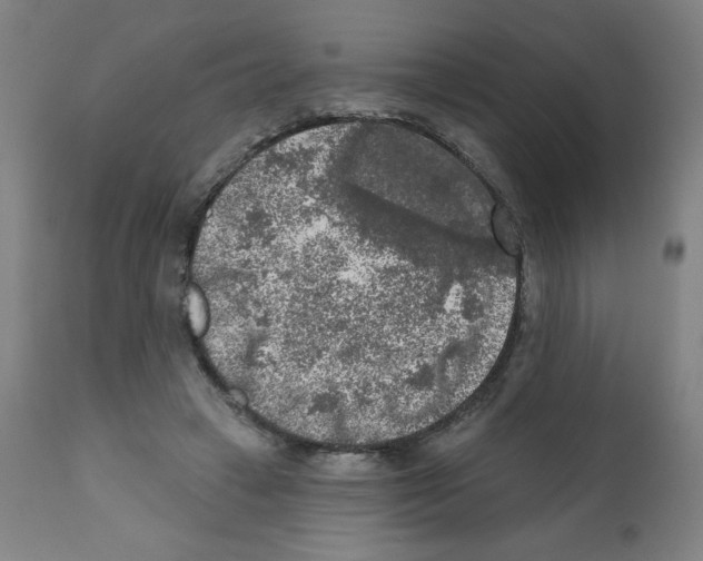 X0000112350449200909241106