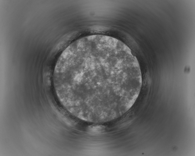 X0000112350452200909241106