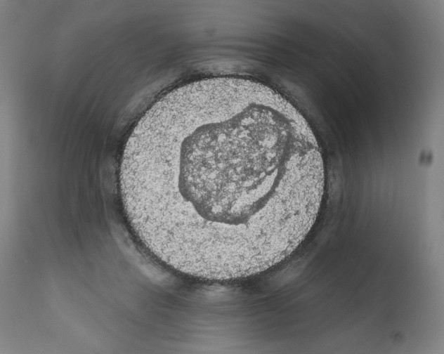 X0000112350453200909241106