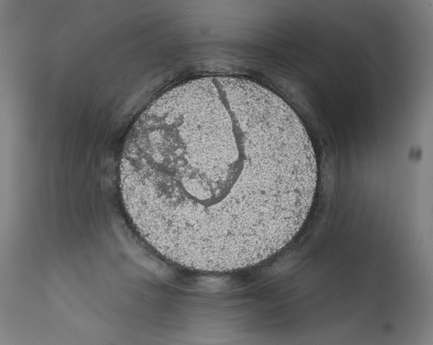 X0000112350457200909241106