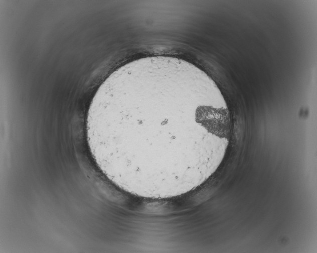 X0000112350461200909241106