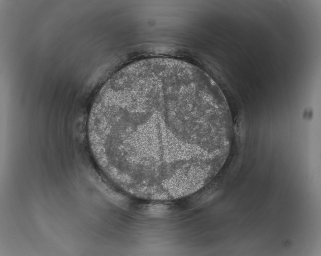 X0000112350462200909241106