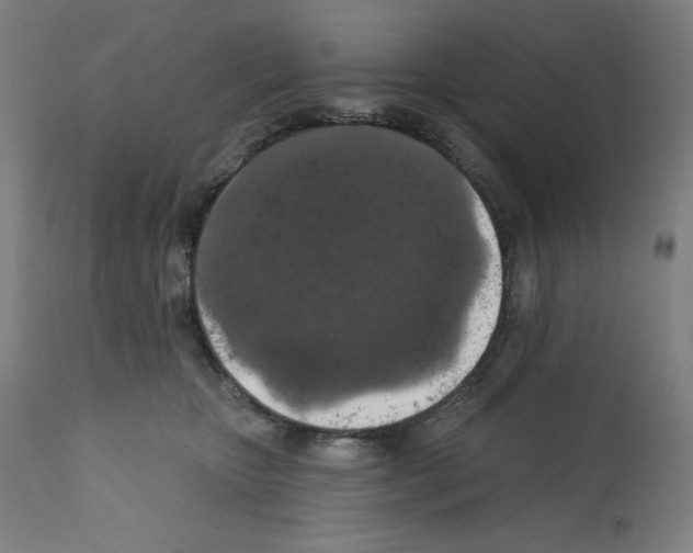 X0000112350467200909241106