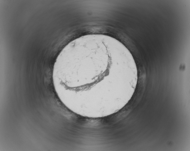 X0000112350469200909241106