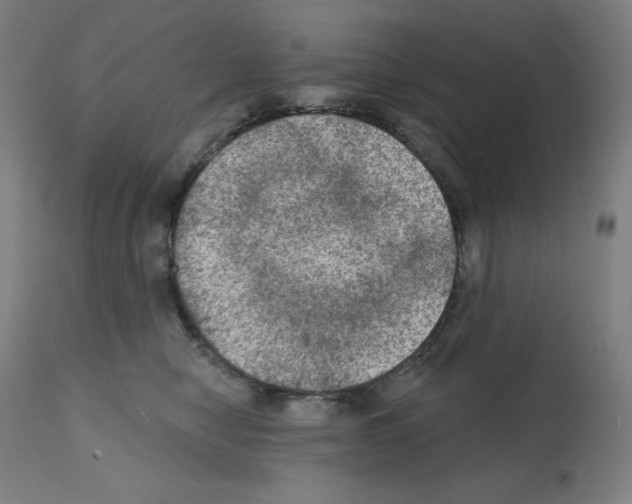 X0000112350470200909241106