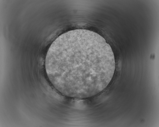 X0000112350472200909241106