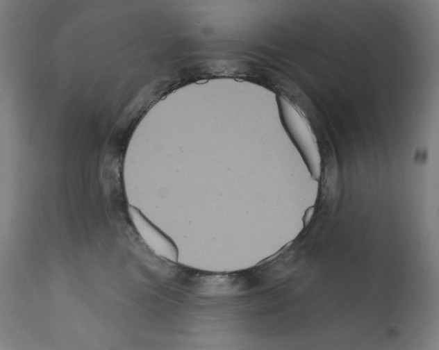 X0000112350473200909241106