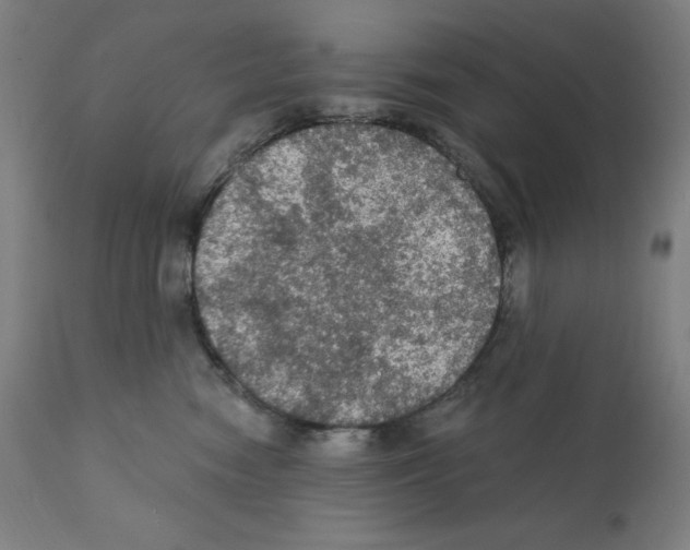 X0000112350474200909241106