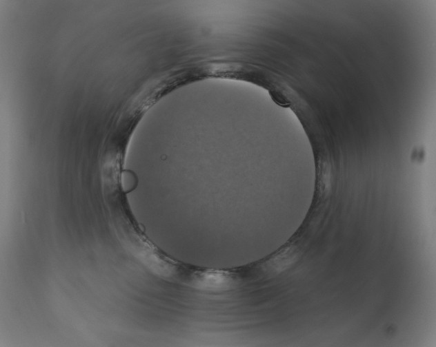 X0000112350475200909241106