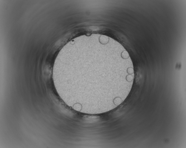 X0000112350476200909241106