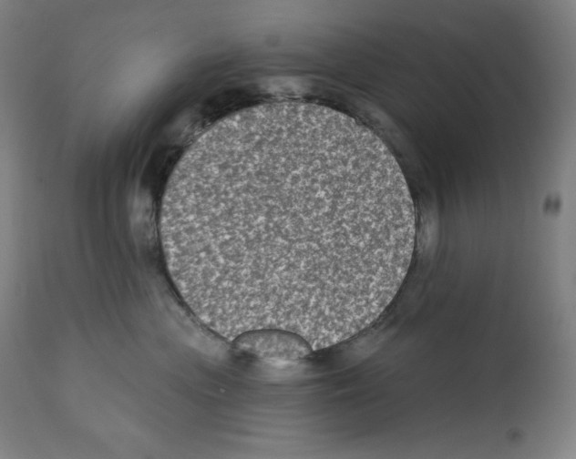 X0000112350477200909241106