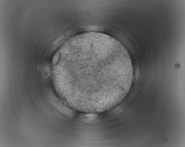 X0000112350478200909241106