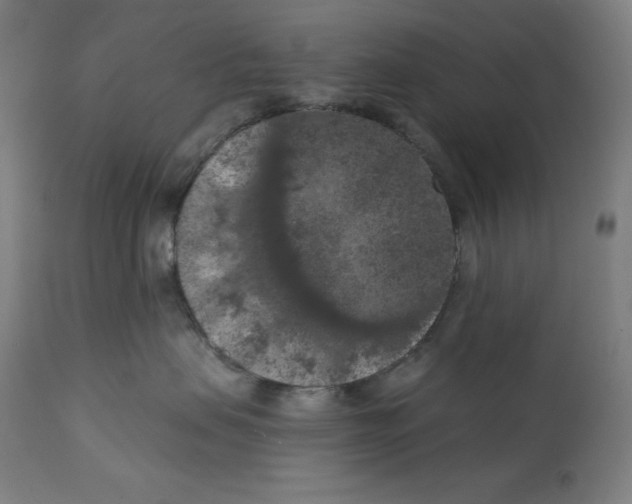 X0000112350479200909241106