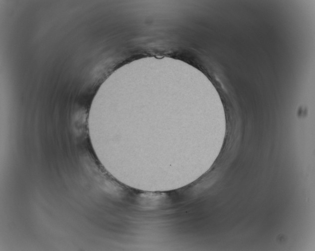 X0000112350480200909241106