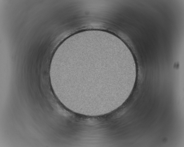 X0000112350481200909241106