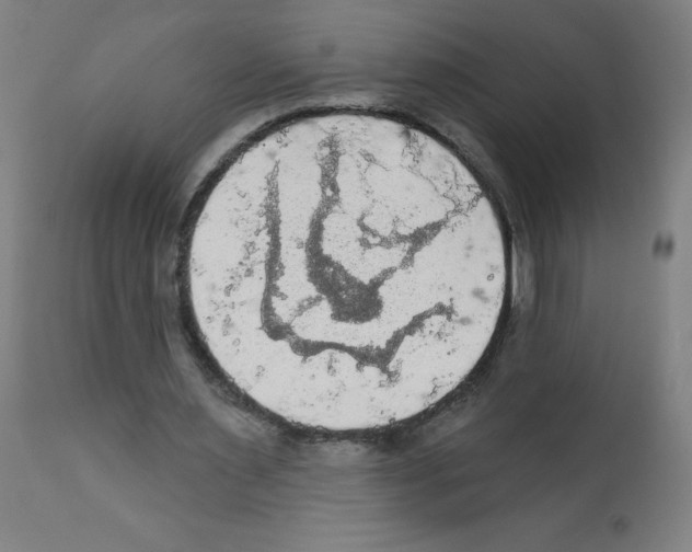 X0000112350483200909241105