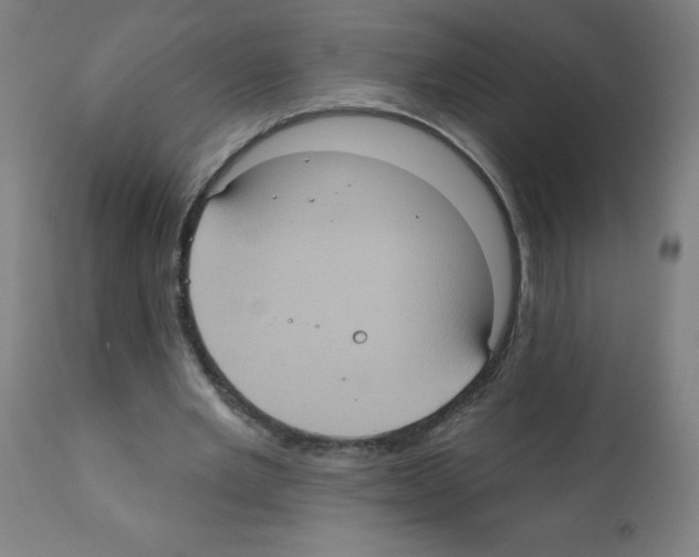 X0000112350485200909241105