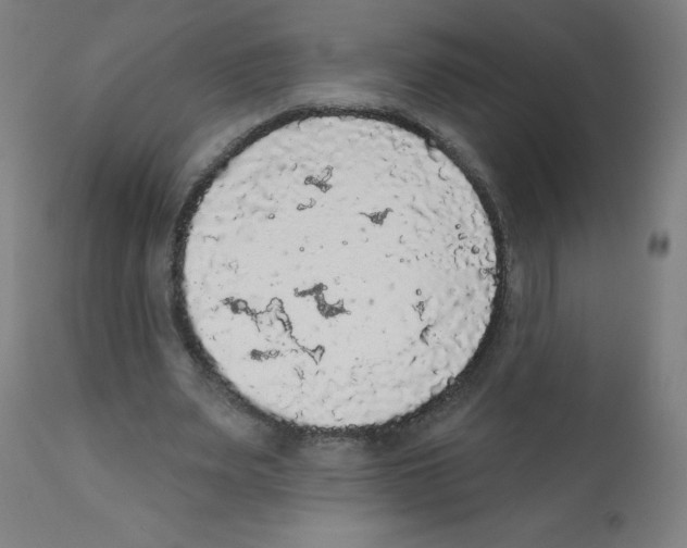 X0000112350487200909241105