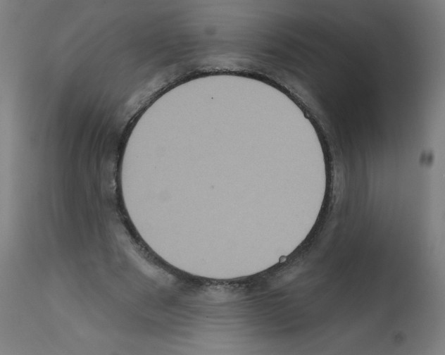 X0000112350489200909241105