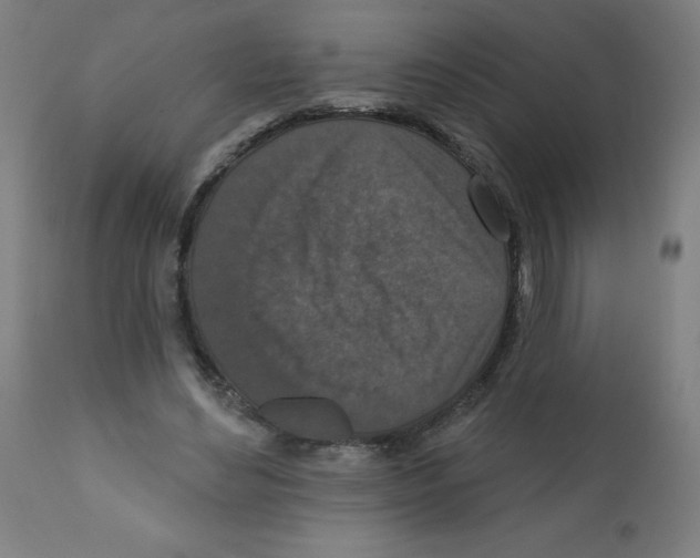 X0000112350492200909241105