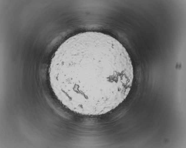 X0000112350495200909241105