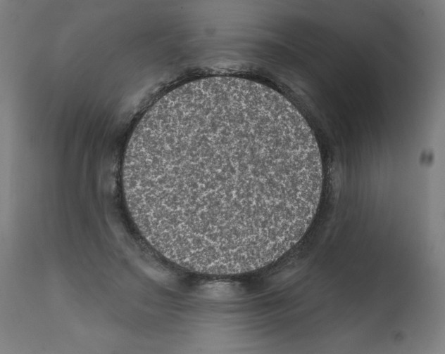 X0000112350499200909241105