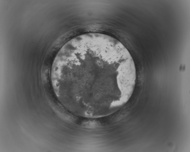 X0000112350503200909241105