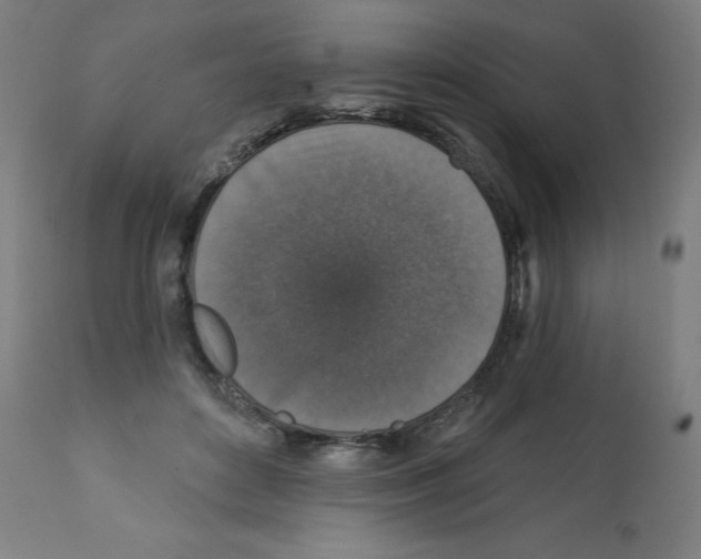 X0000112350504200909241105