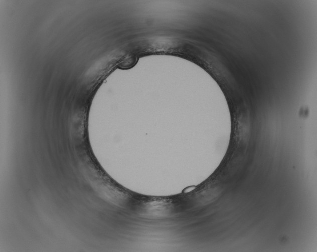 X0000112350505200909241105