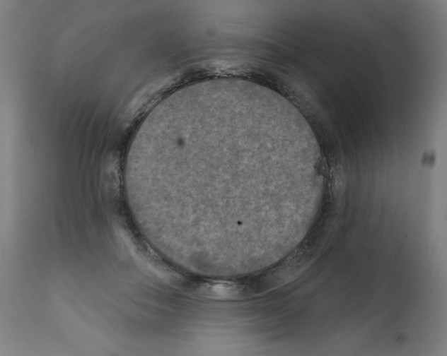 X0000112350506200909241105