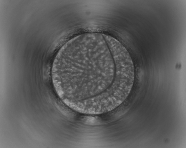 X0000112350507200909241105