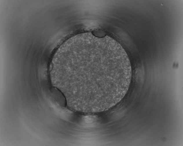 X0000112350508200909241105