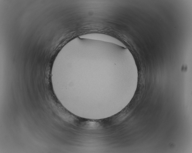 X0000112350509200909241105