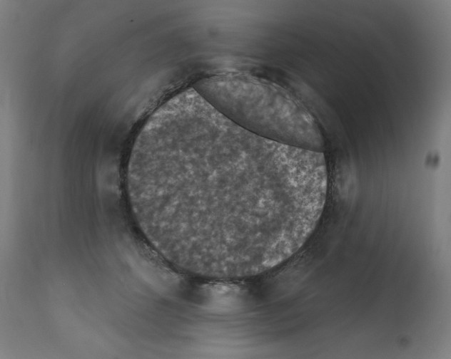 X0000112350512200909241105