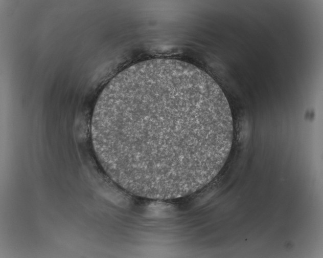 X0000112350515200909241105