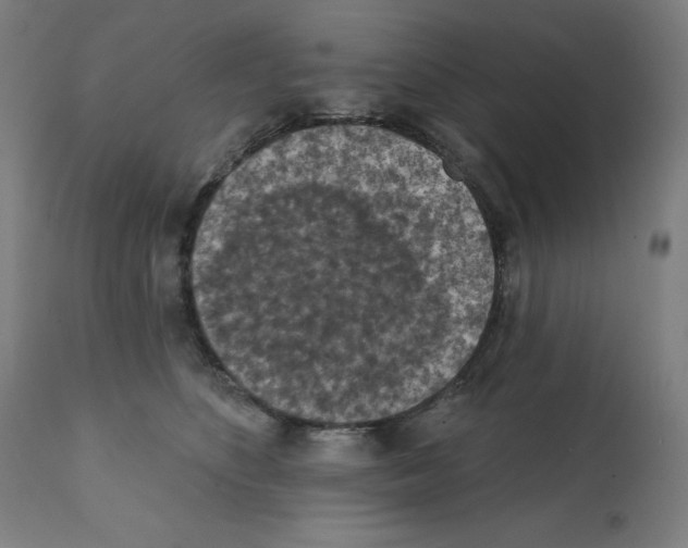 X0000112350516200909241105