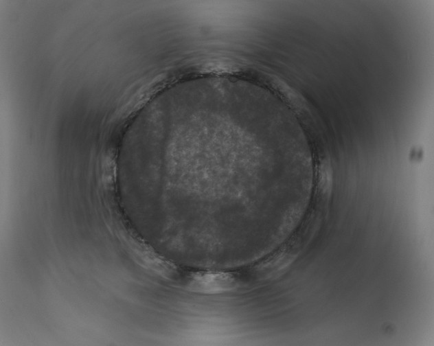 X0000112350517200909241105