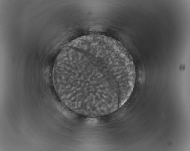 X0000112350519200909241105