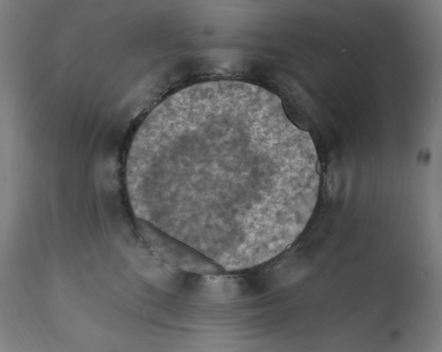 X0000112350520200909241105