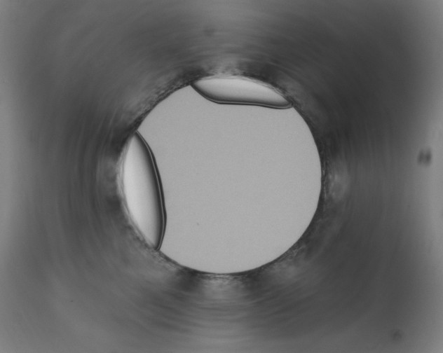 X0000112350521200909241105