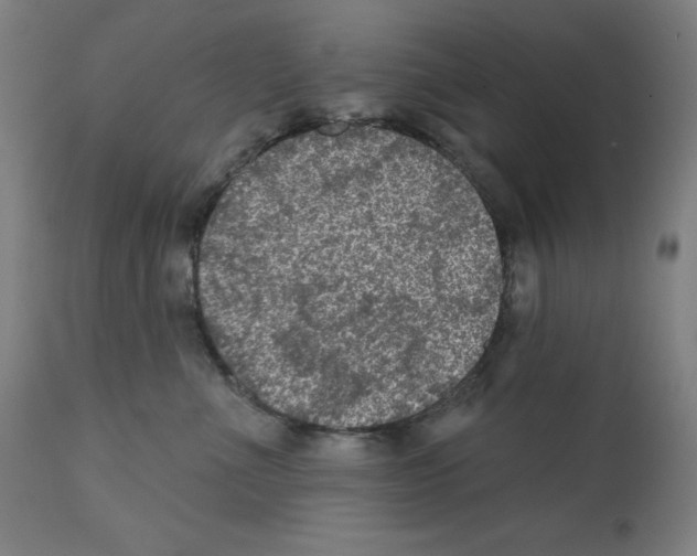 X0000112350523200909241105