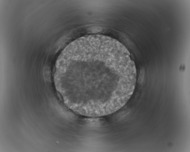 X0000112350524200909241105