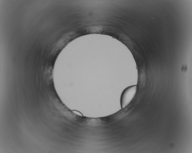 X0000112350525200909241105