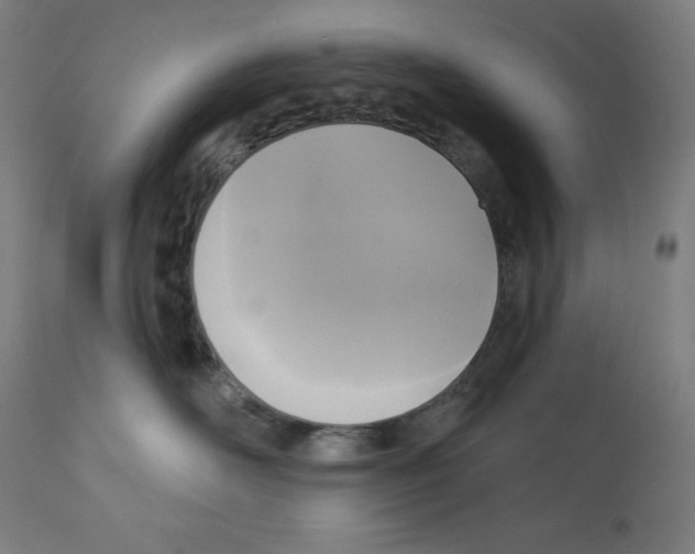 X0000112350526200909241105