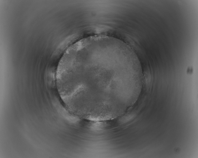 X0000112350527200909241105