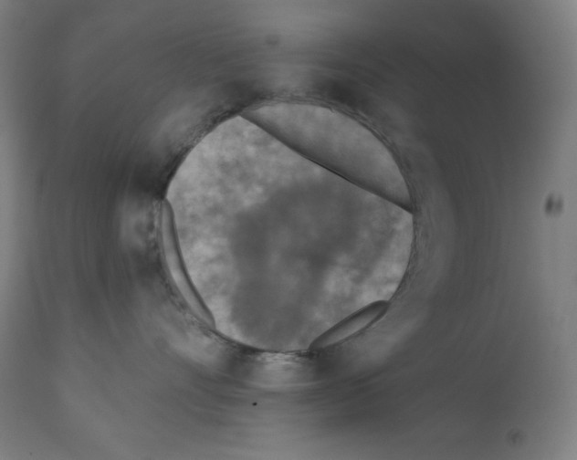 X0000112350528200909241105