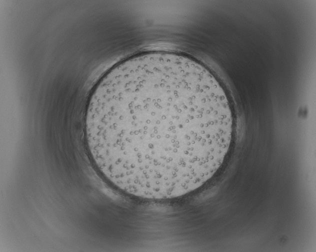 X0000112350529200909241104