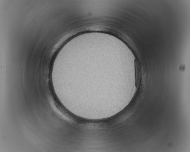 X0000112350530200909241104