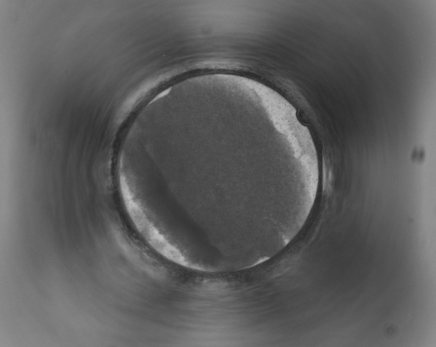 X0000112350531200909241104