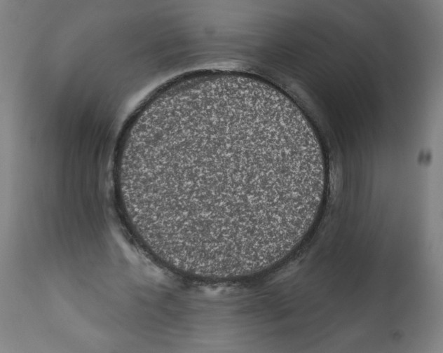 X0000112350532200909241104